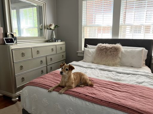 1BR Renovated + Large Porch ~ Piedmont Park Historic Midtown Atlanta – photo 1