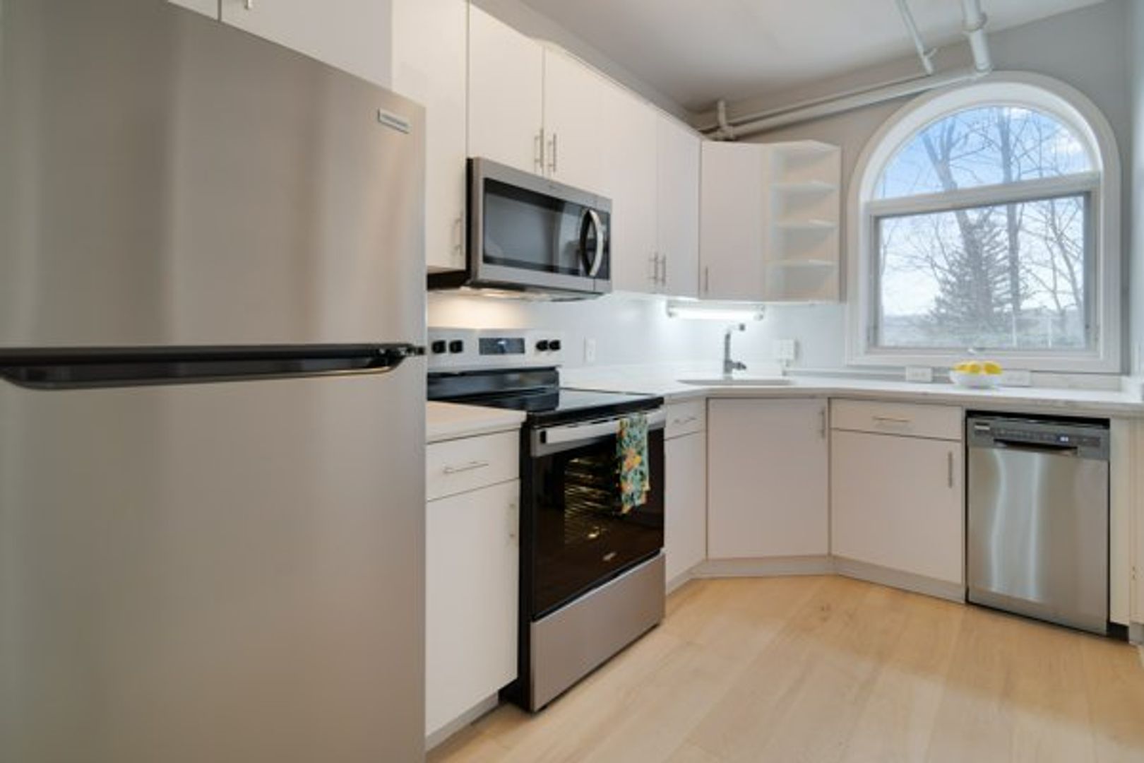 Ithaca Apartment: 504 Stewart Ave