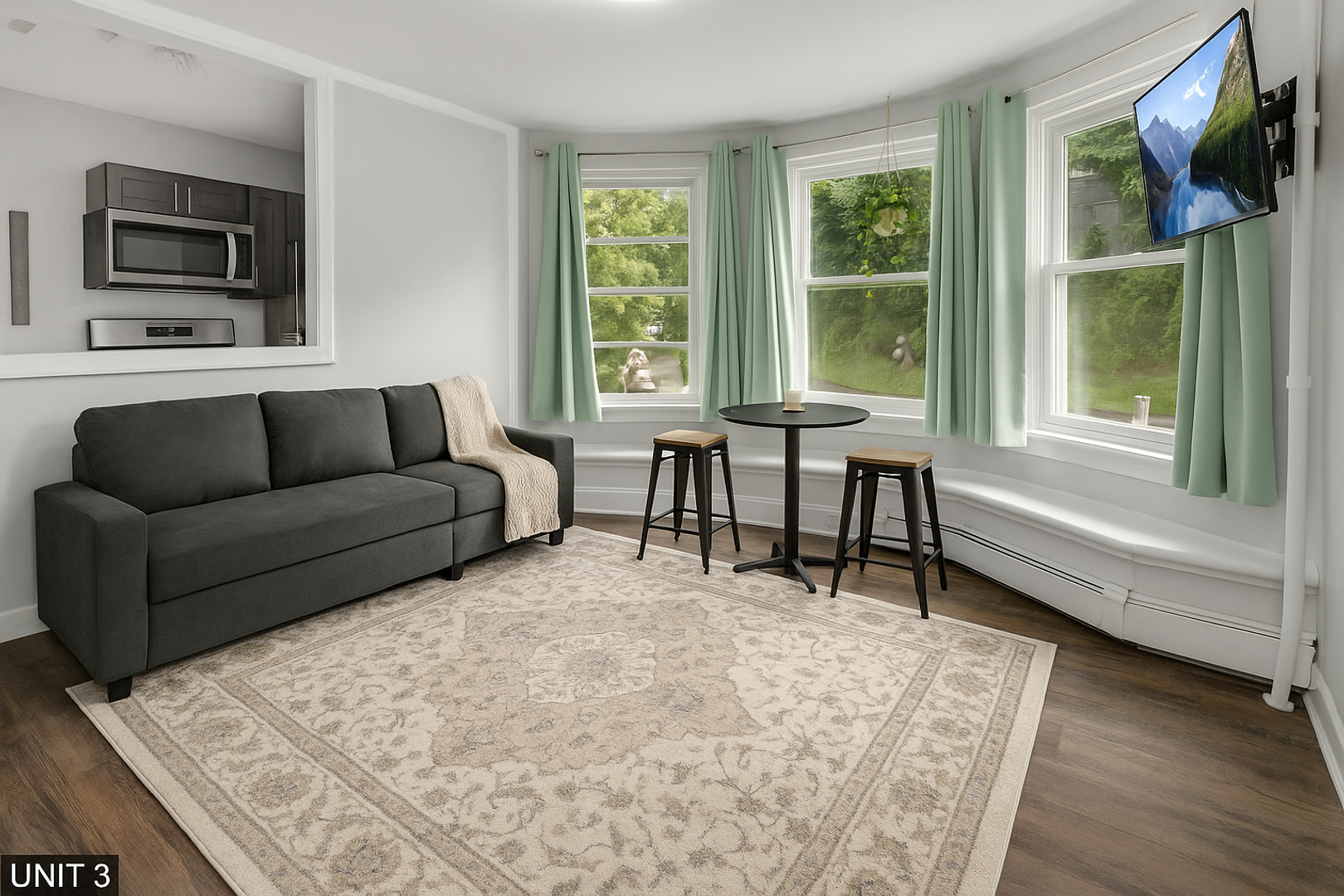 Ithaca Apartment: 710 Stewart Ave