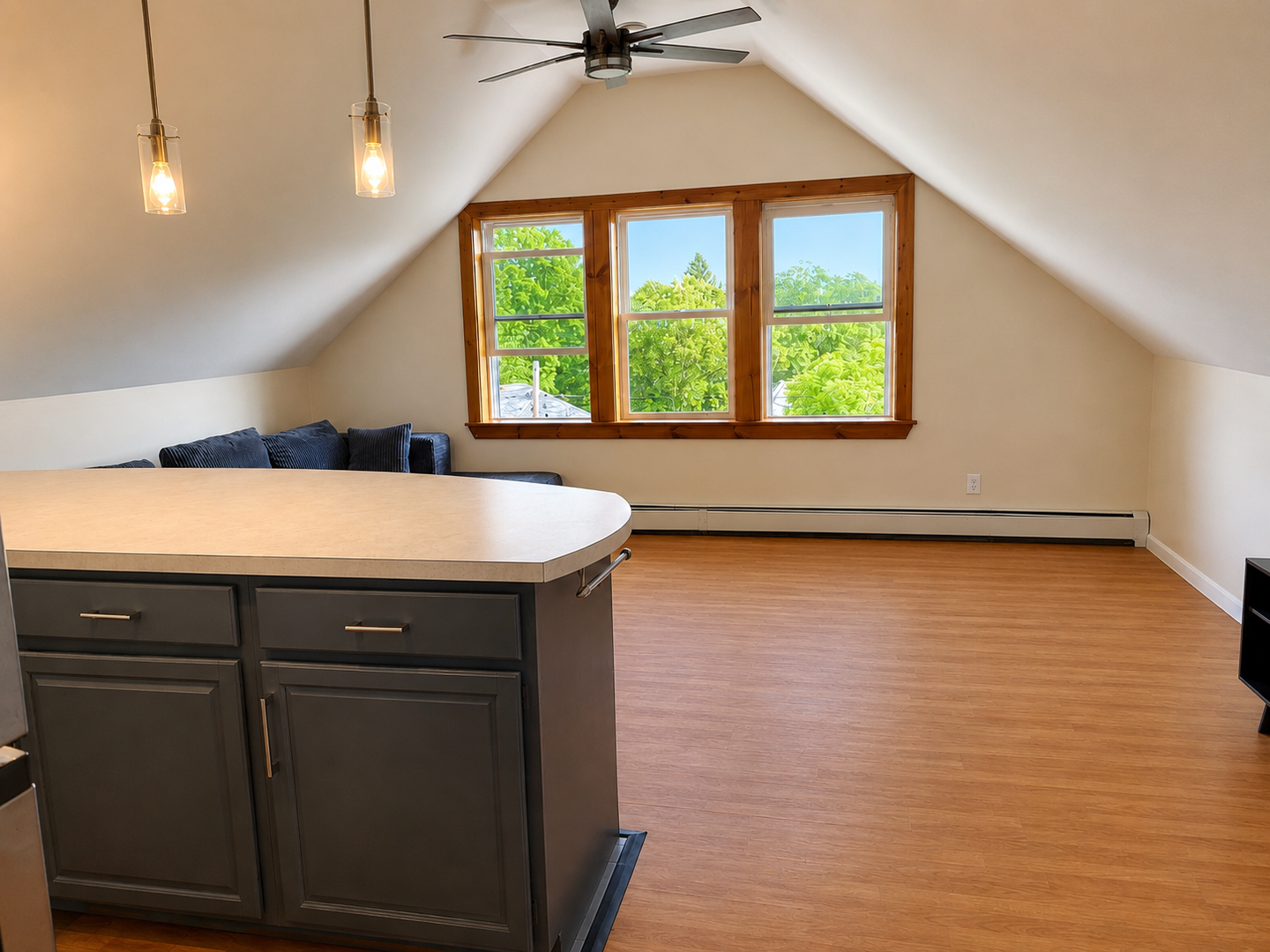 ithaca Apartment: 213-215 Columbia St