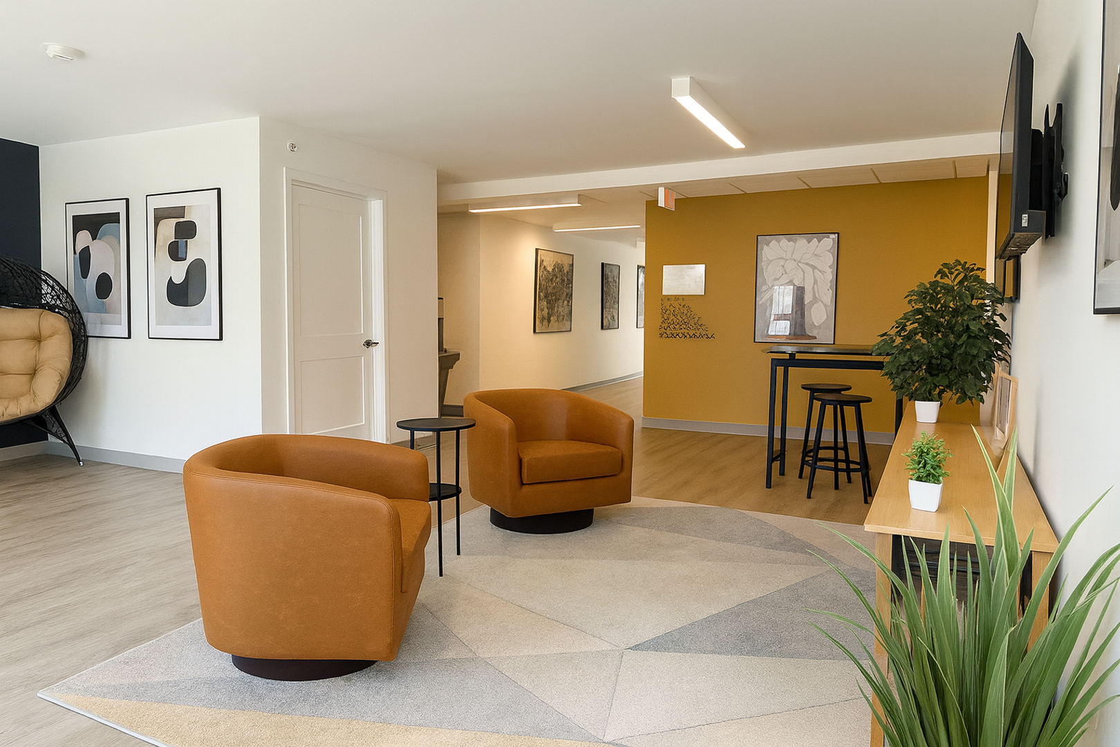 Ithaca Apartment: 815 S Aurora St