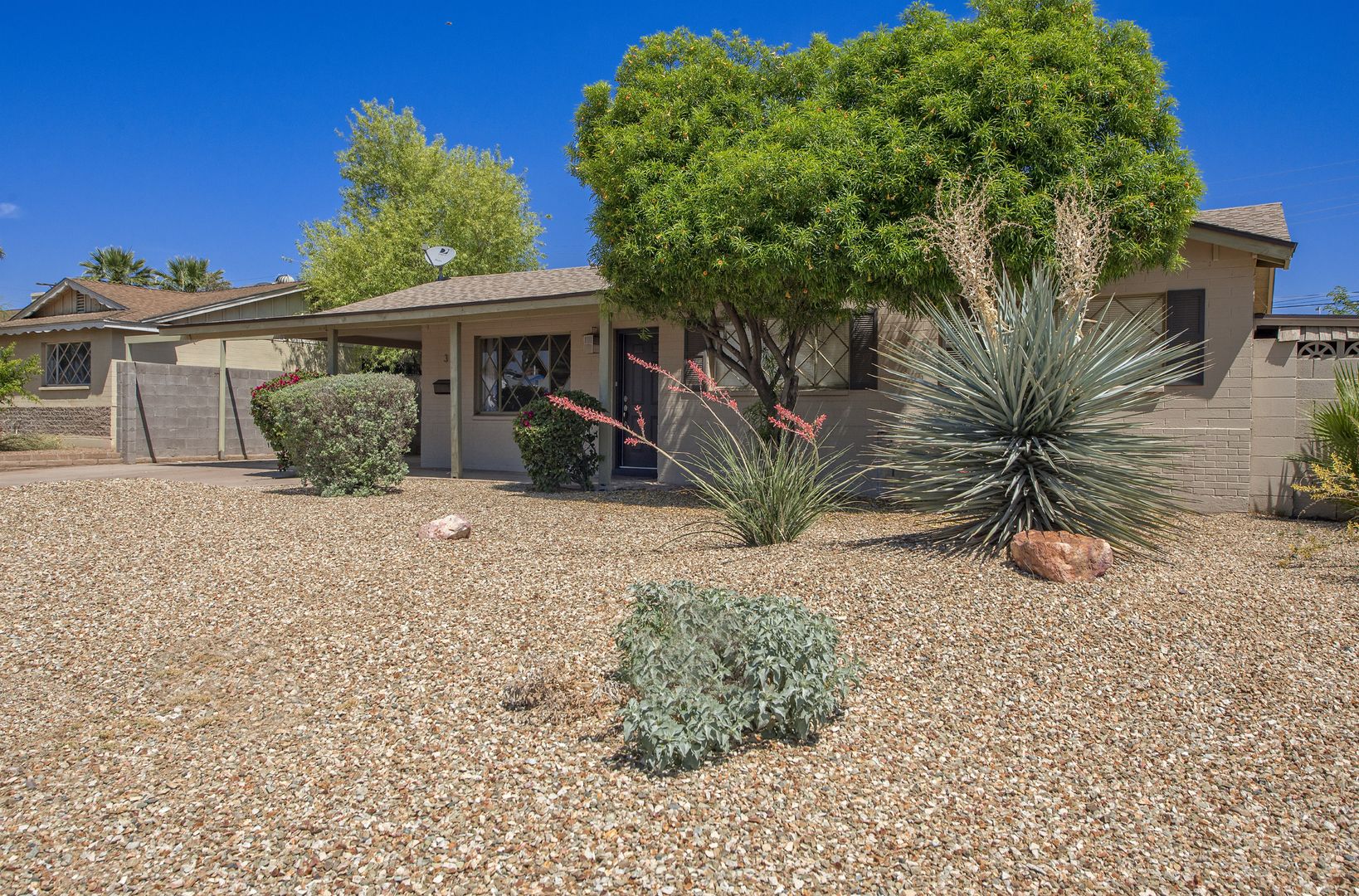Tempe House: 36 E Fillmore
