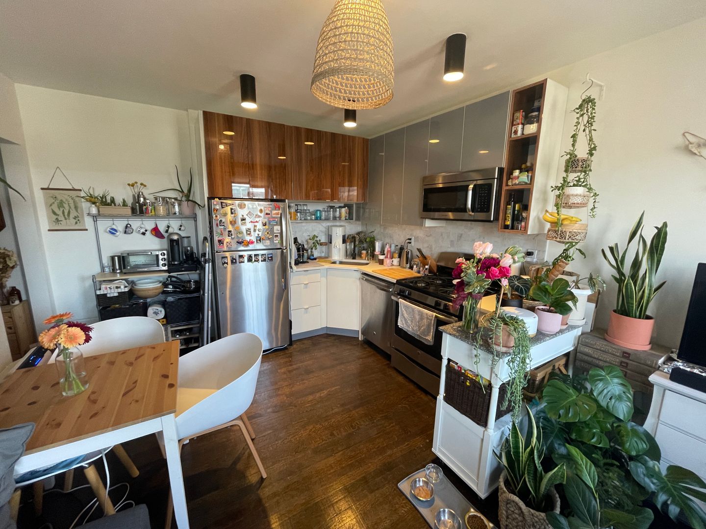 New Haven Apartment: 516 Orange st