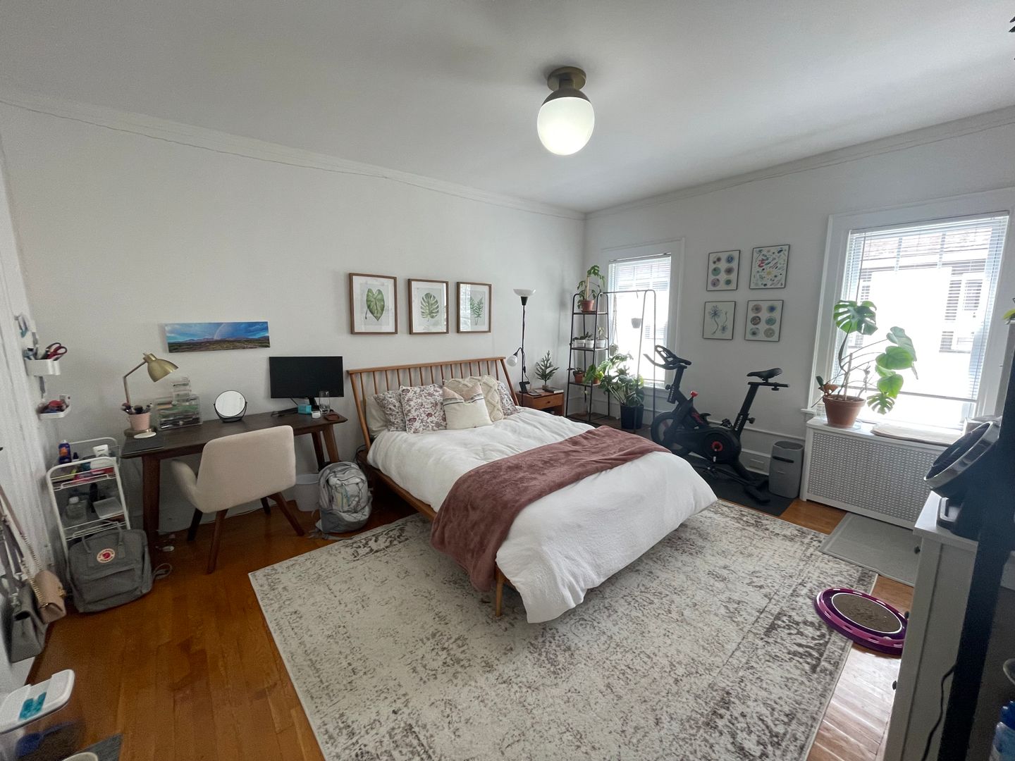 New Haven Apartment: 420 Whitney Ave