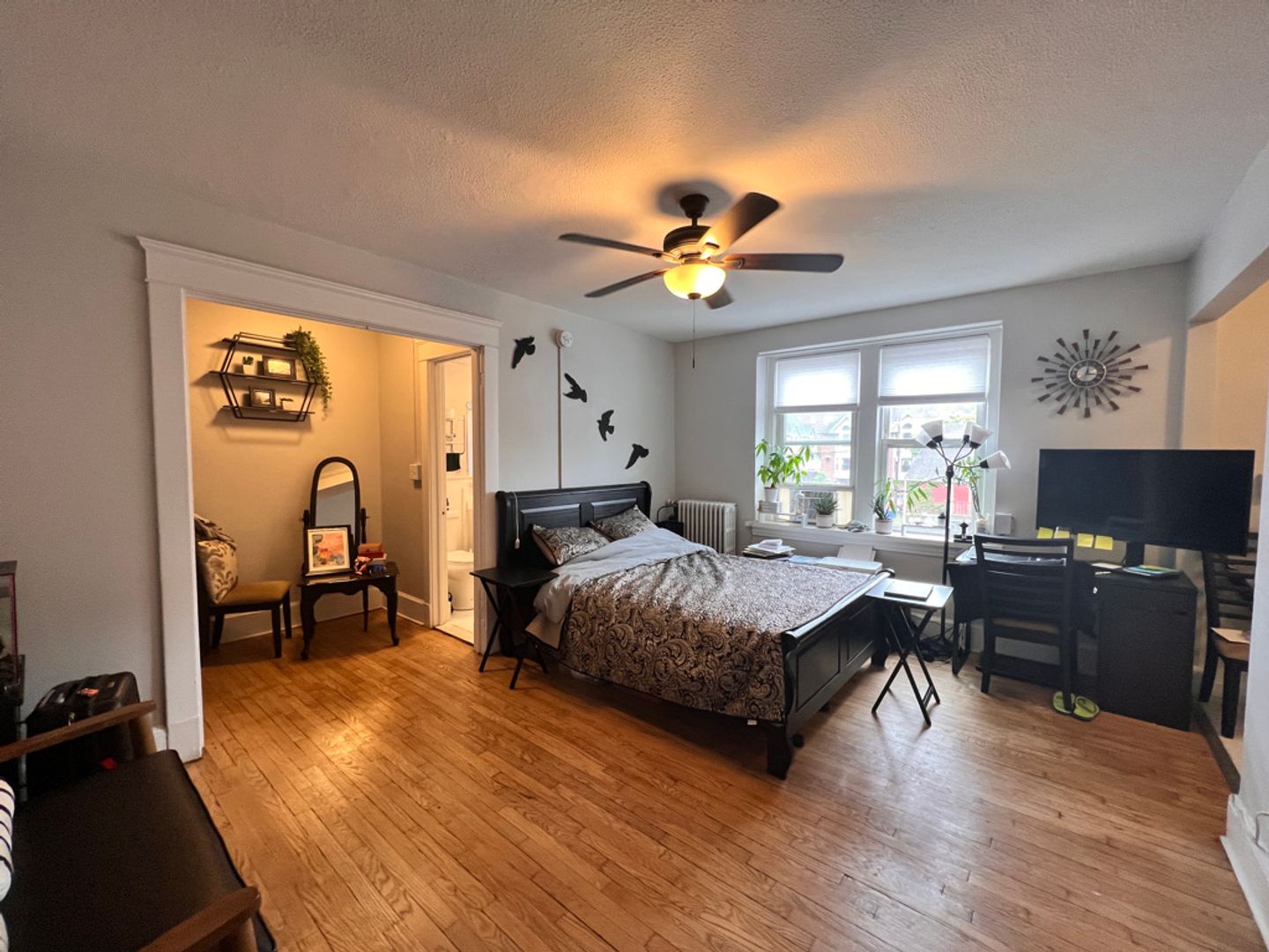 New Haven Apartment: 100 Howe Street