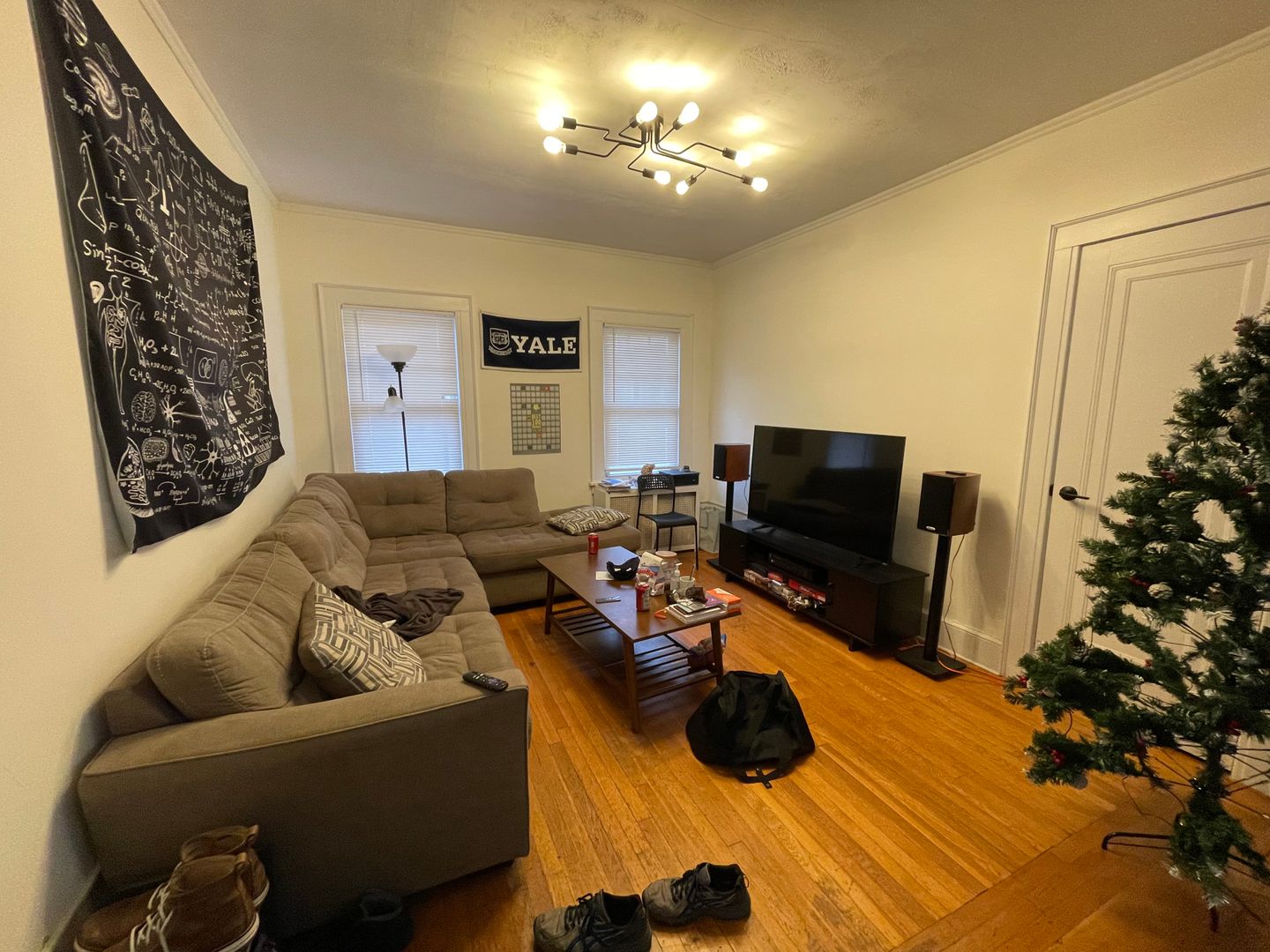 New Haven Apartment: 420 Whitney Ave