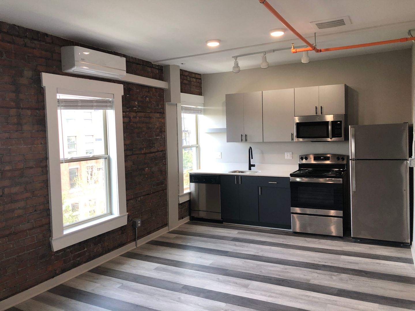 Detroit Apartment: 479 W Willis St