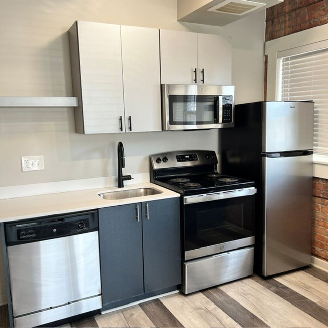 Detroit Apartment: 479 W Willis St