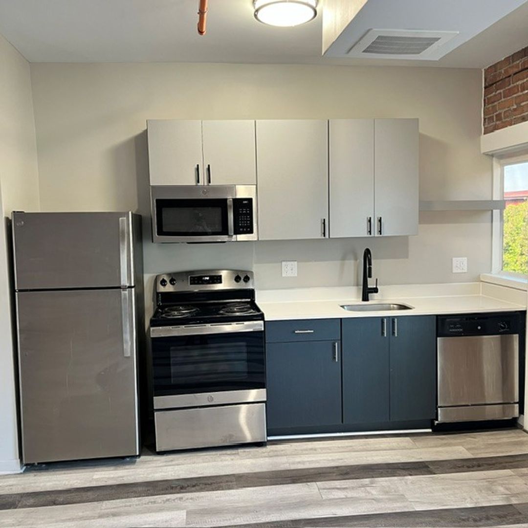 Detroit Apartment: 479 W Willis St