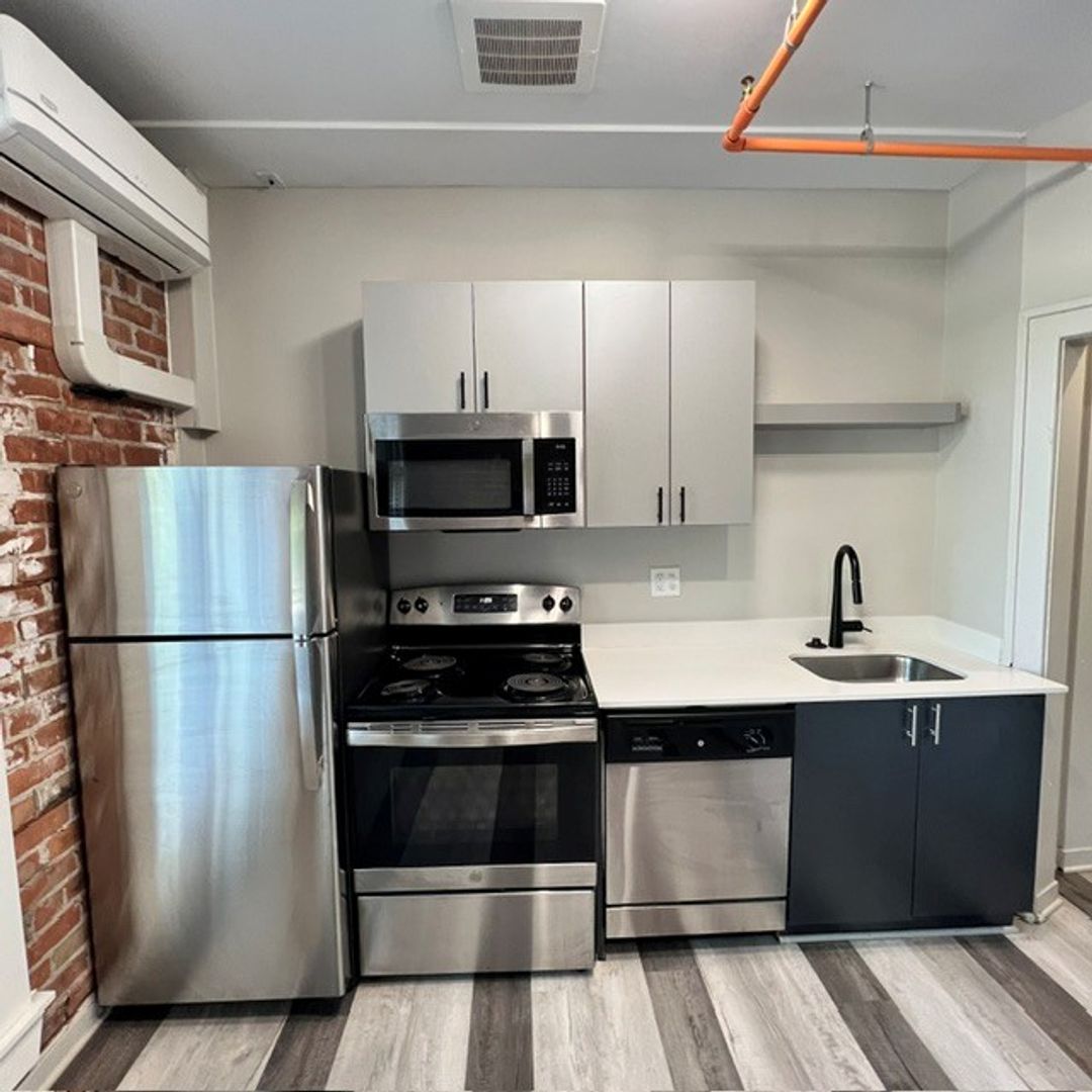 Detroit Apartment: 479 W Willis St