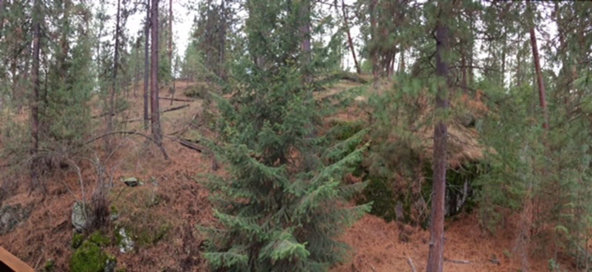 Spokane Valley Apartment: Echo Glen