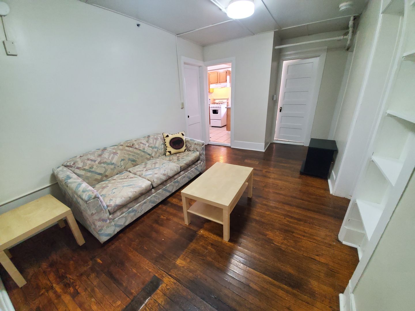 Ithaca Apartment: 523 E Buffalo Street