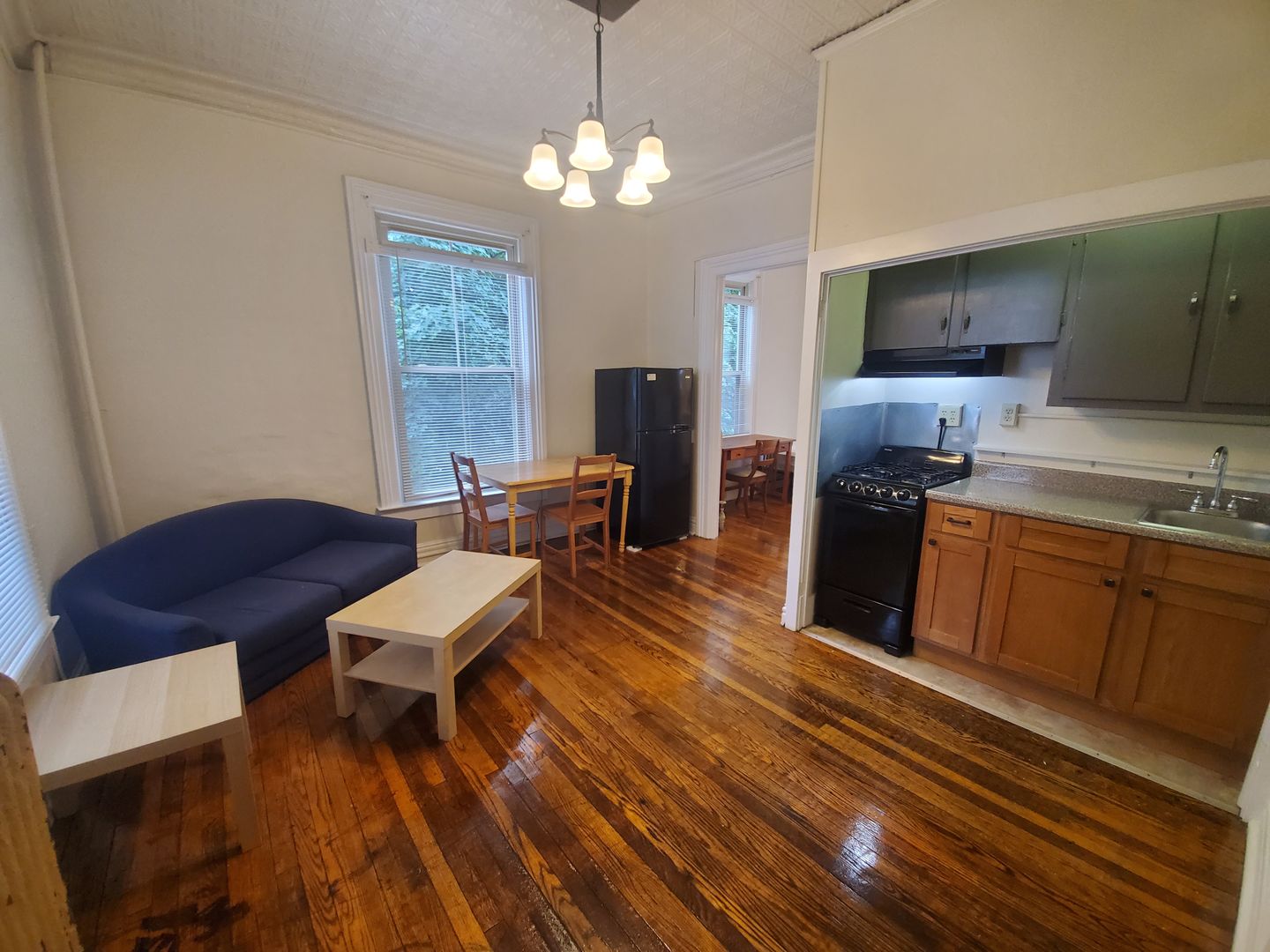 Ithaca Apartment: 519 E Buffalo Street