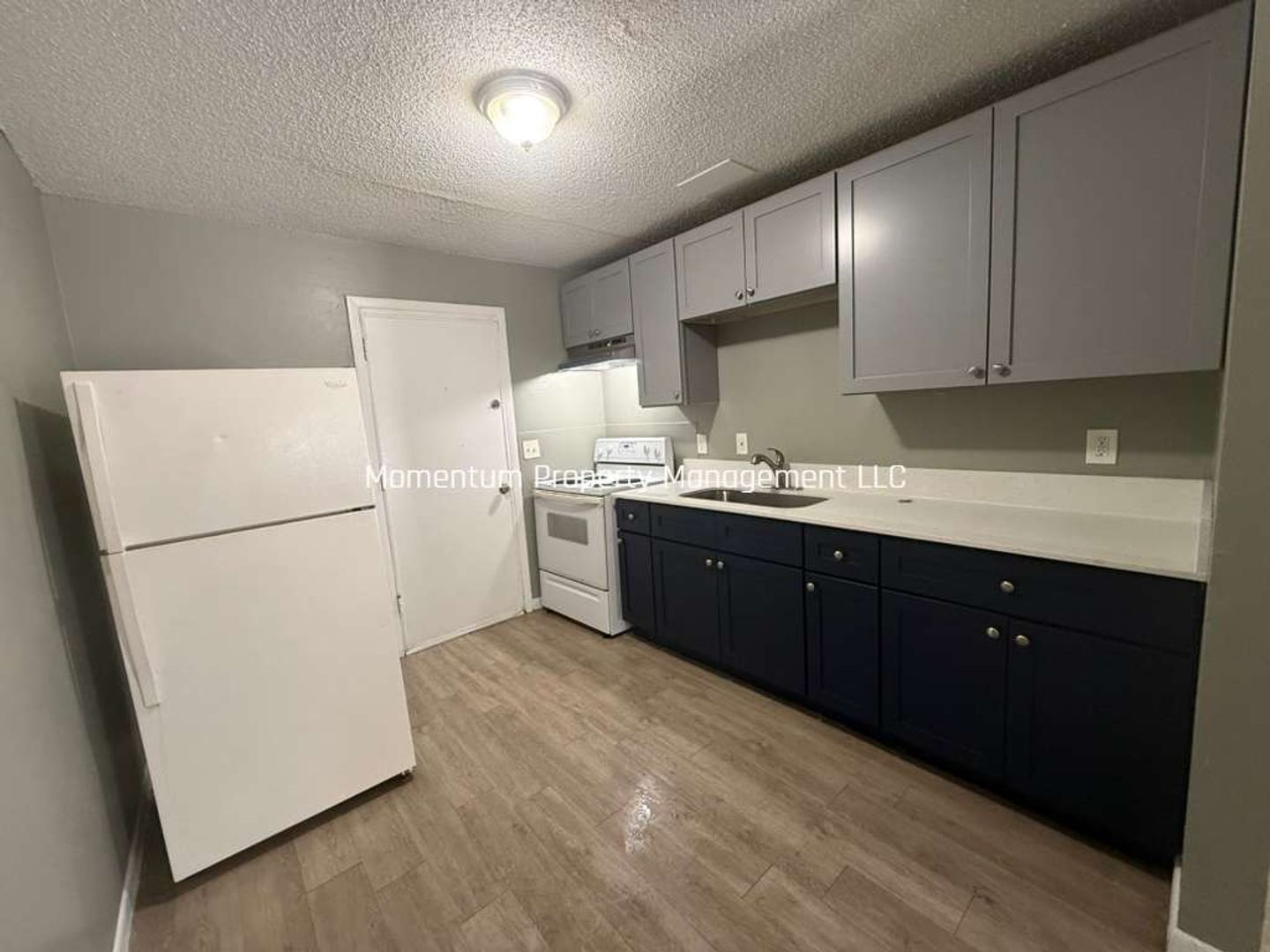 Tampa Apartment: 8218 N Elmer St Unit A