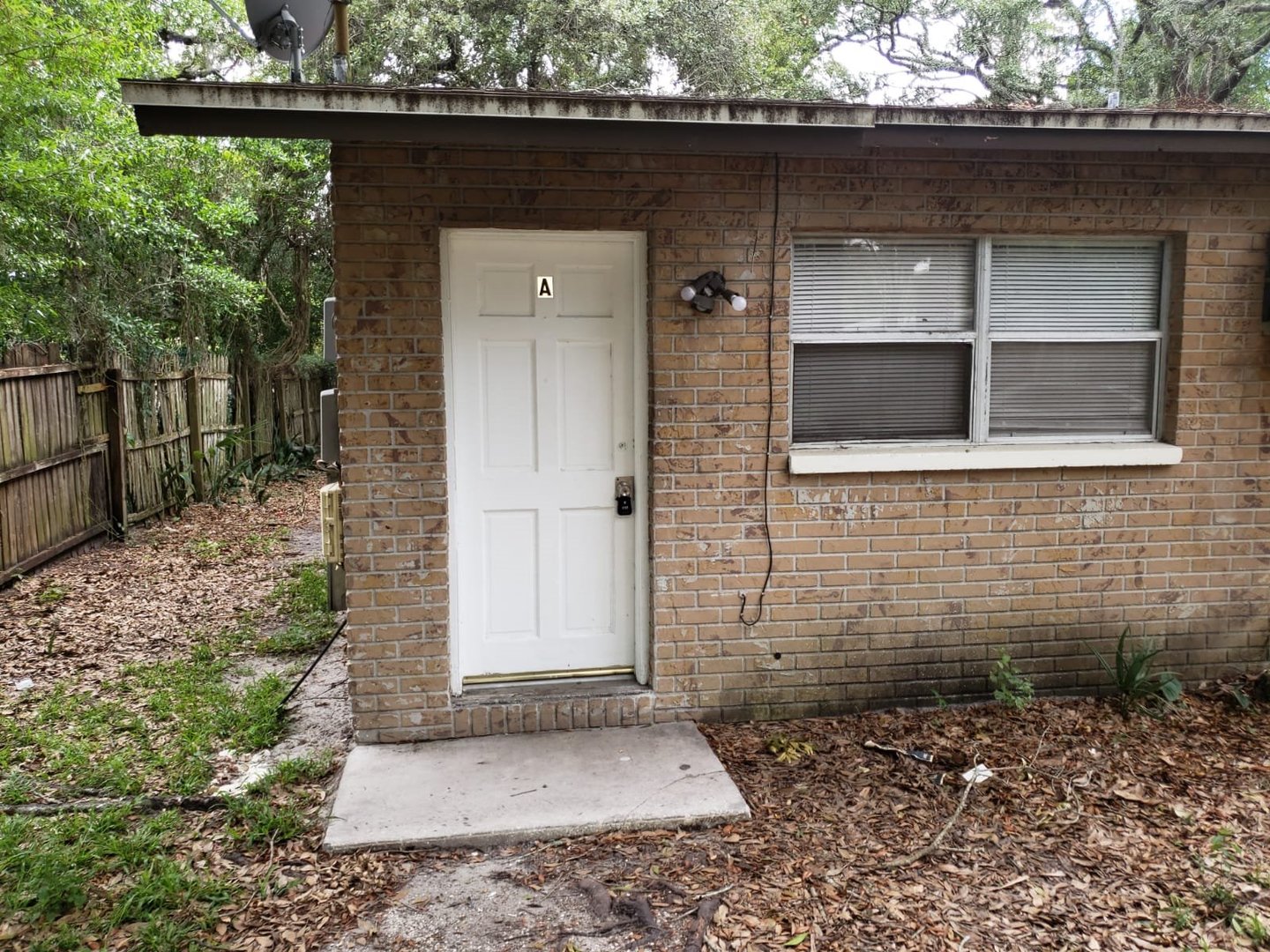 Tampa Apartment: 10106 N Lantana Ave A