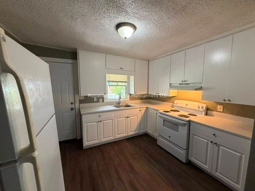 8220 N Mulberry St. Tampa, FL 33604 – photo 1