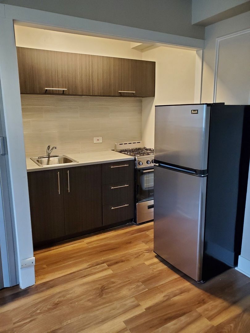 Rochester Apartment: 253 Alexander St