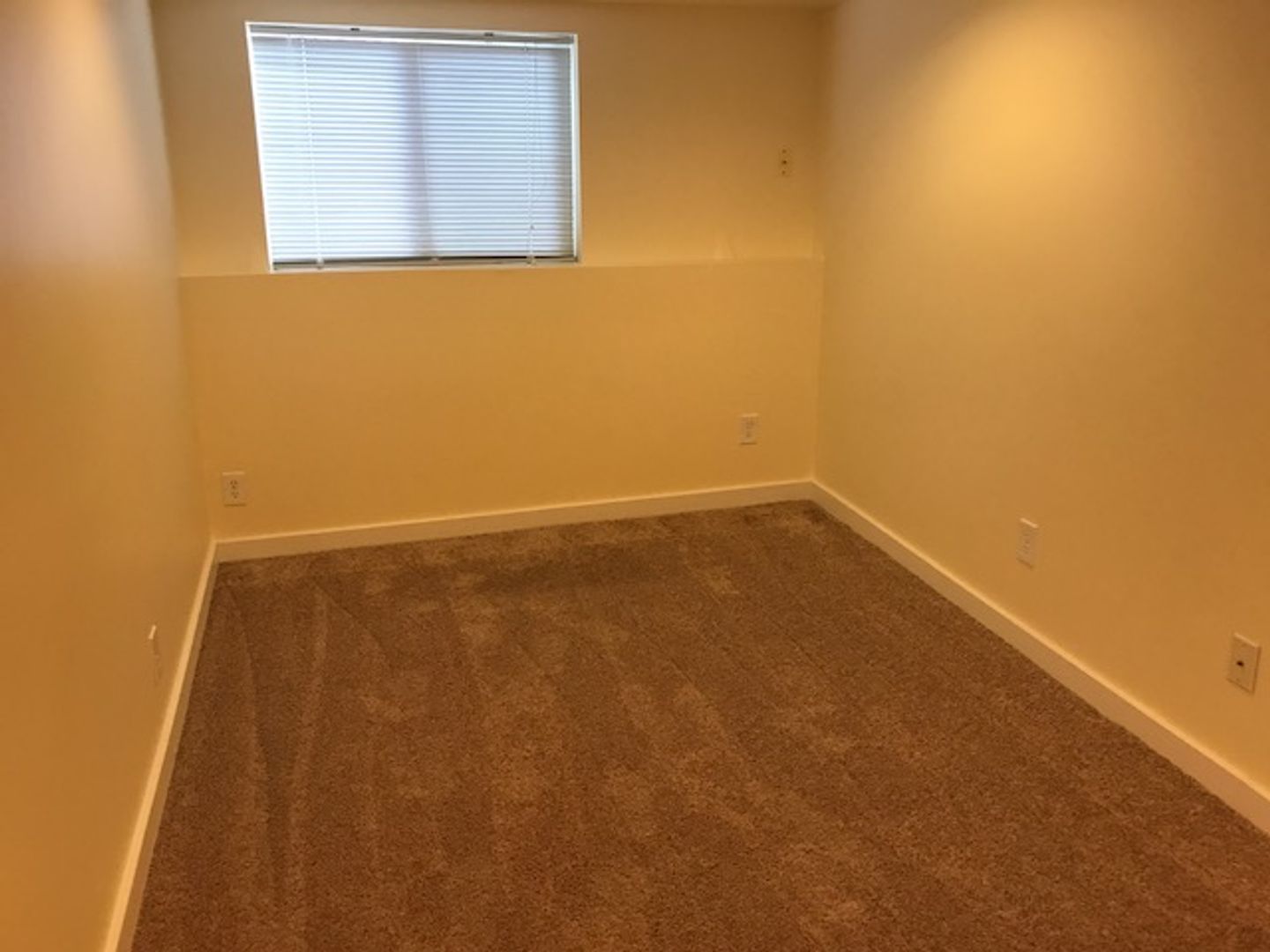 Seattle Condo: 2141 N 61st