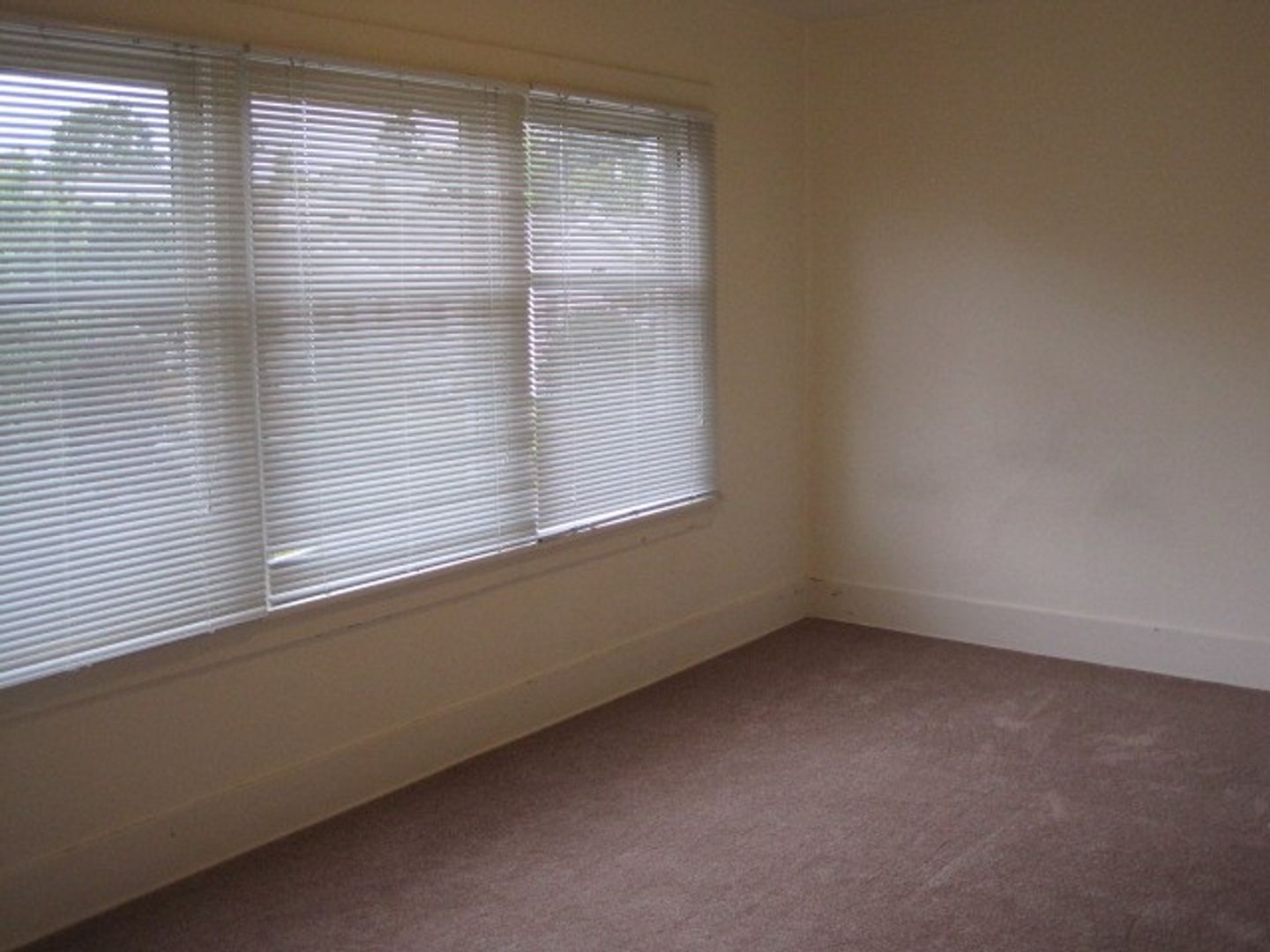 Seattle Apartment: 4559 5th NE