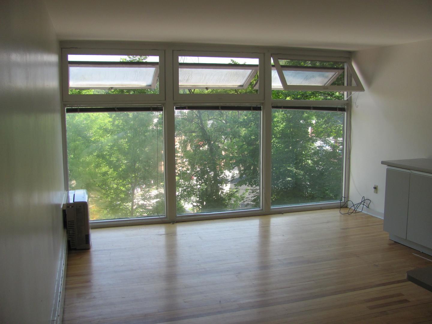 Montpelier Apartment: 49 Greenwood Terrace
