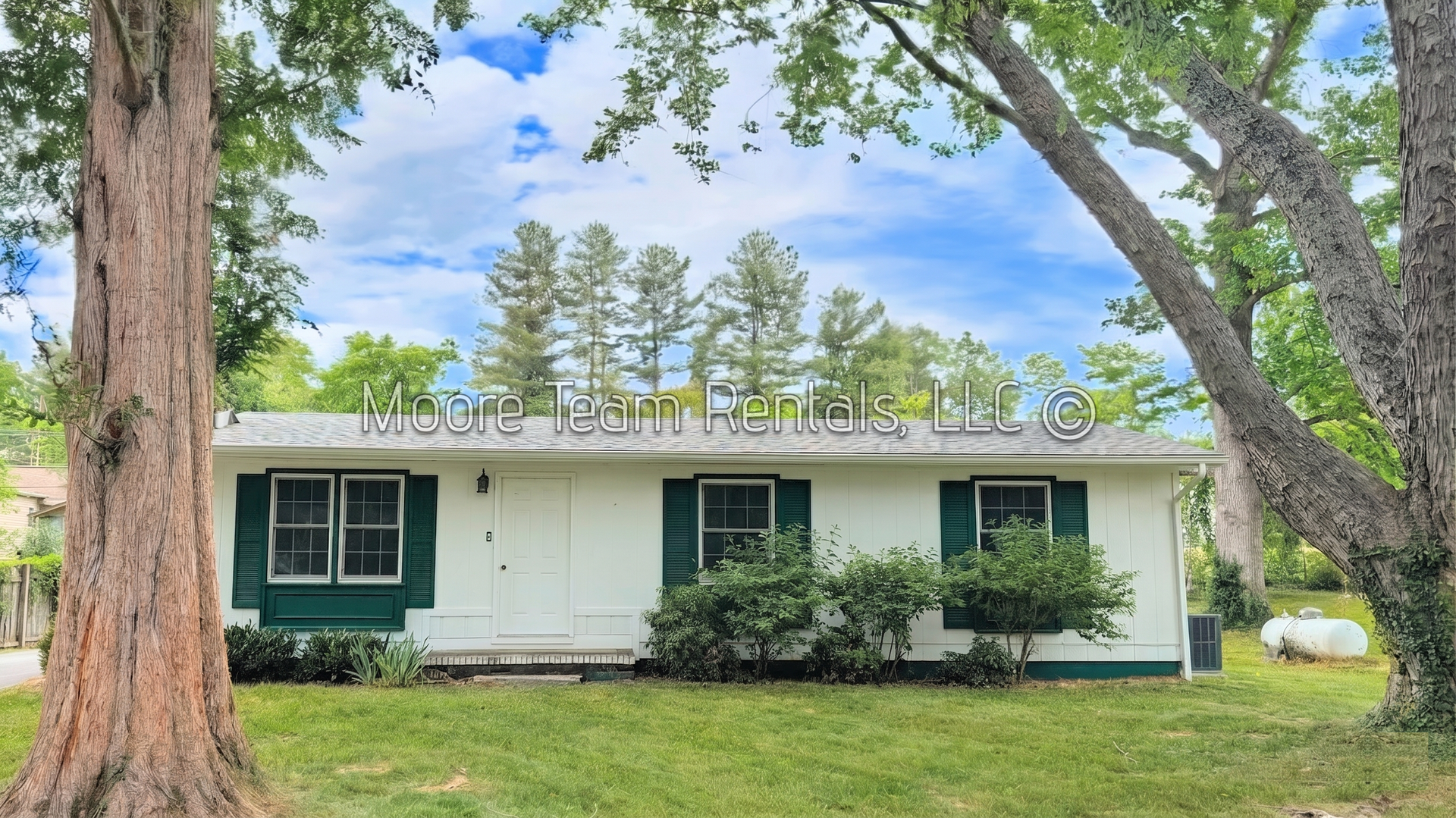 Hendersonville House: 120 Robin St