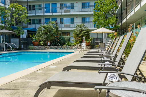 In the Heart of Corte Madera