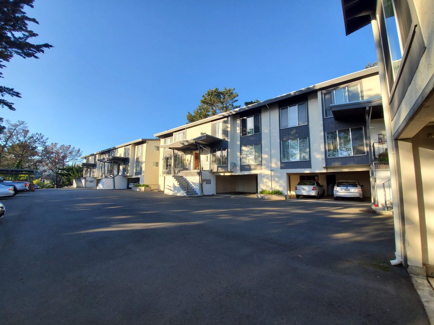 Mill Valley Apartment: 51 Reed Boulevard