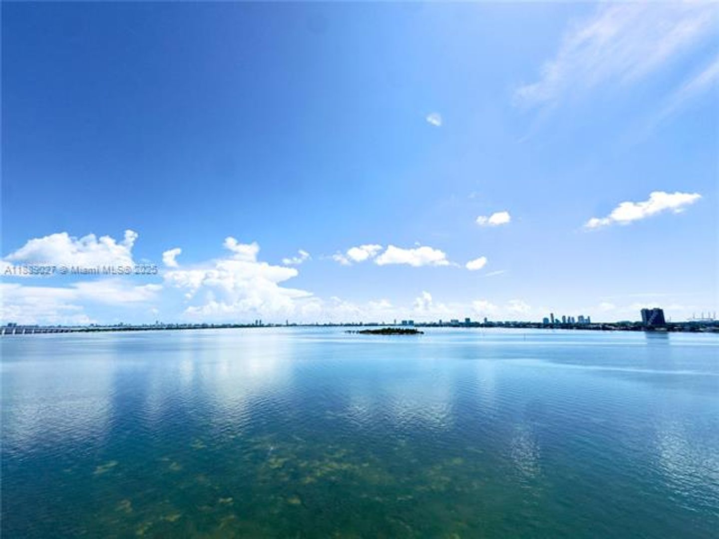 MIAMI Apartment: 725 NE 22nd St unit 8D