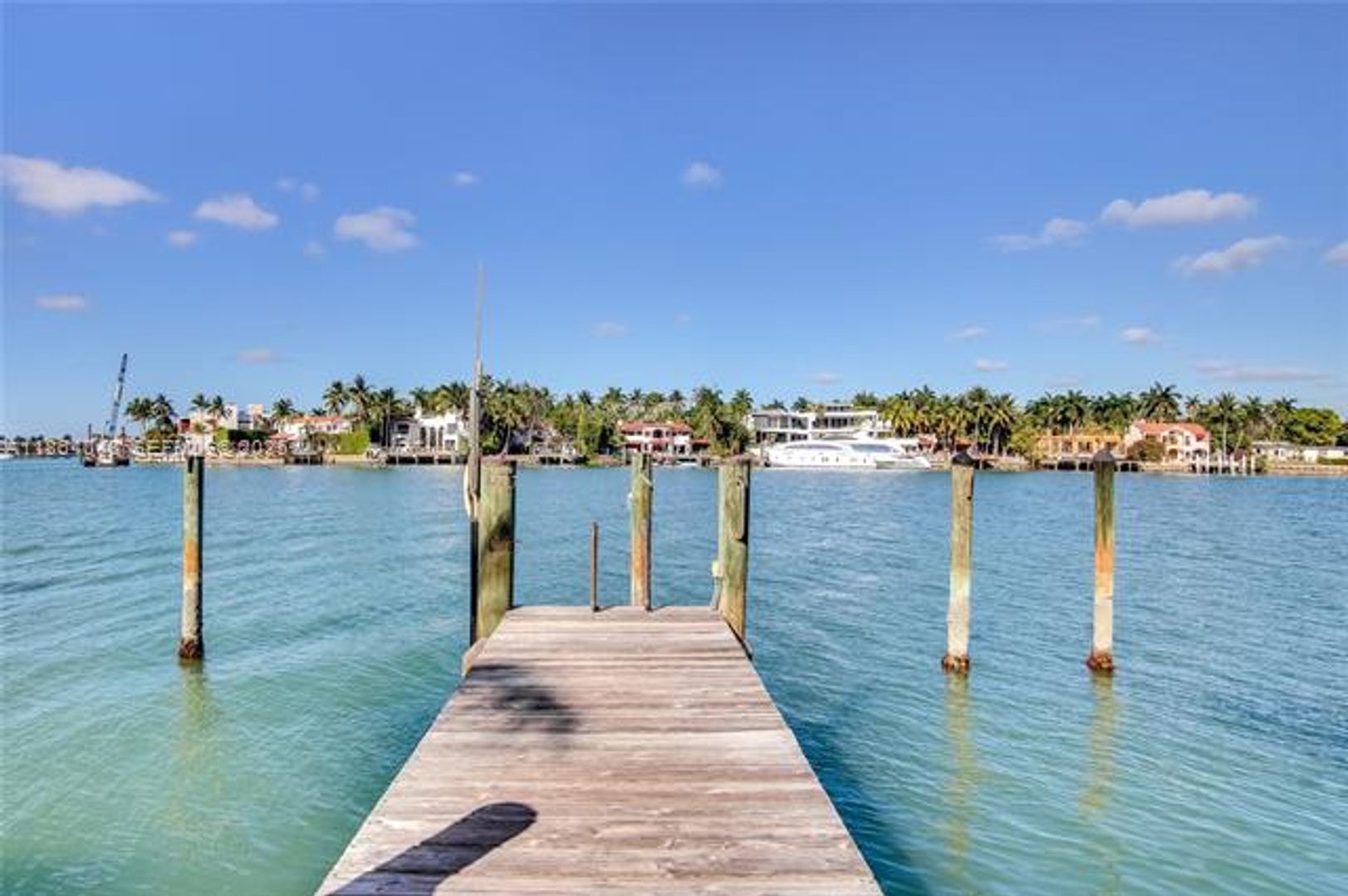 MIAMI BEACH House: 257 N Coconut Ln #0