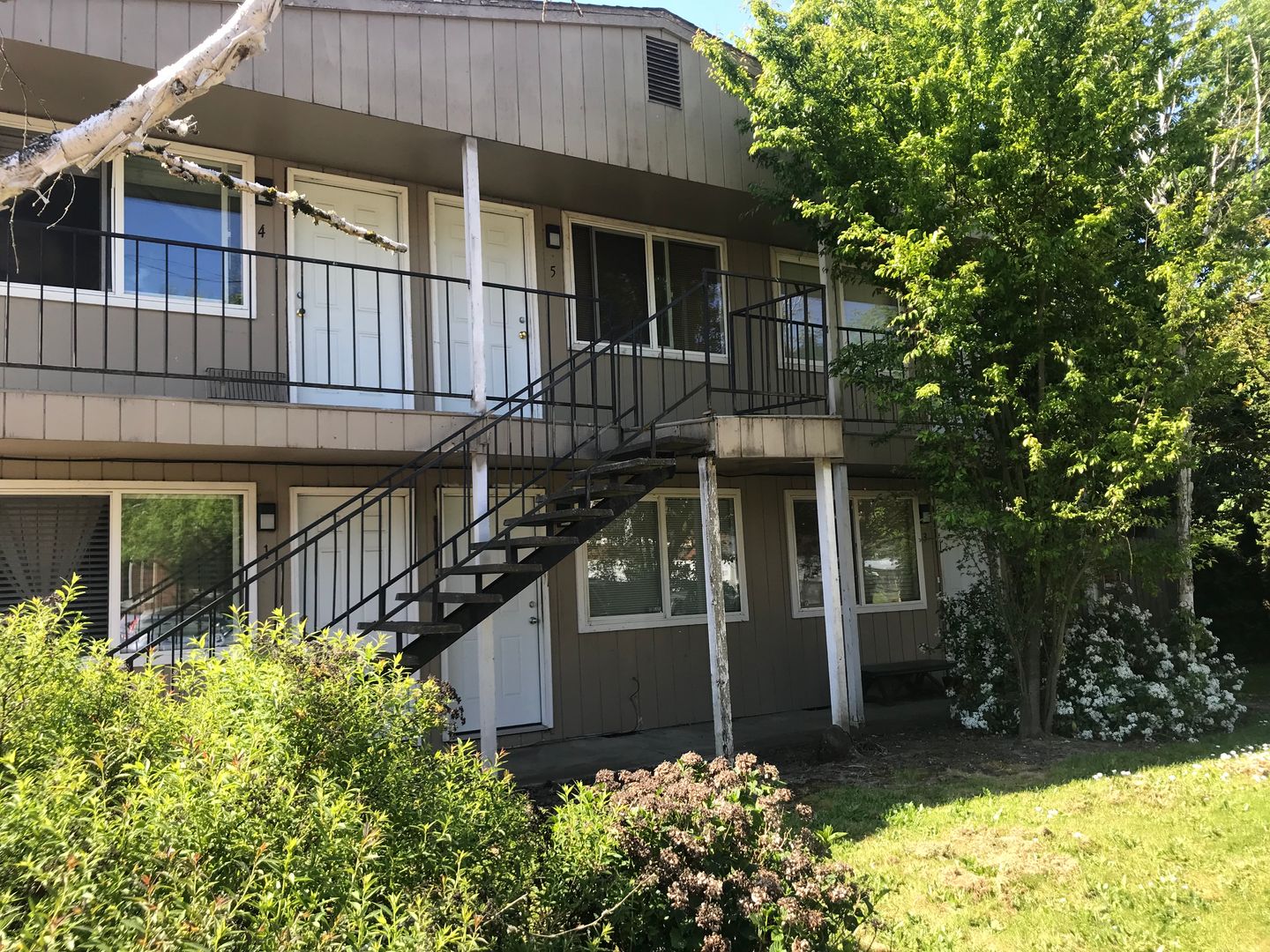 Albany Apartment: 926 4th Ave SE