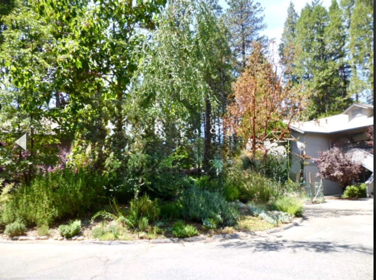 Nevada City Apartment: King Hiram Lane Property