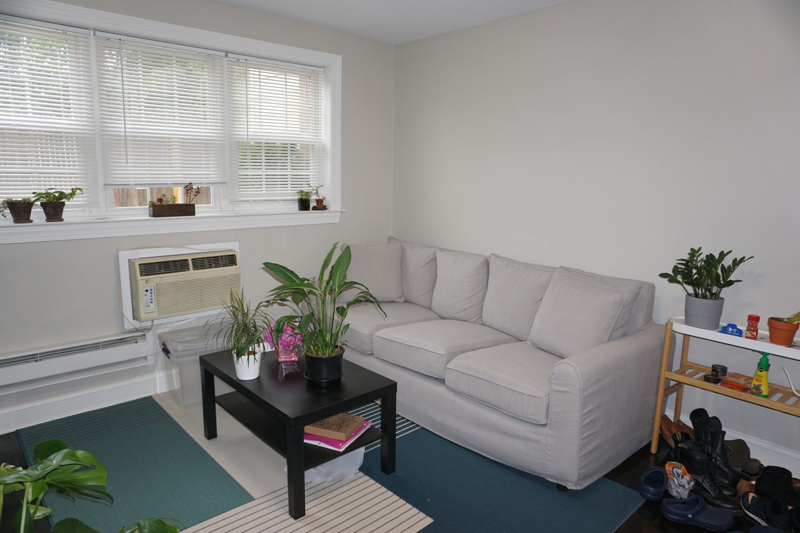 Ambler Apartment: 210 Trinity Ave