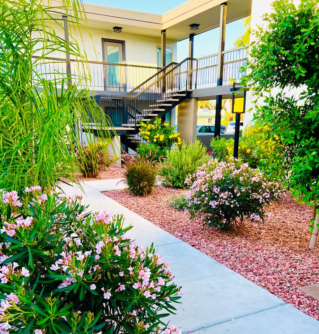 Shared outdoor space at Arcadia Flats.