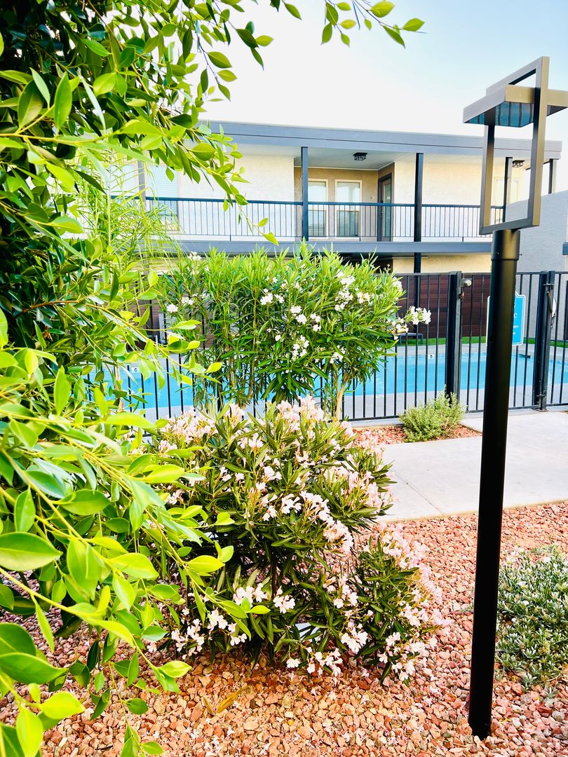 Phoenix Apartment: 3101 N. 36th St.