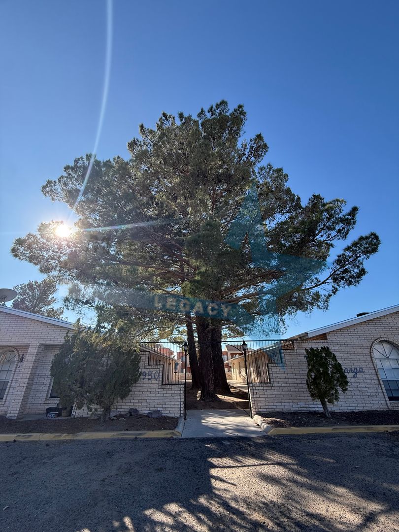 Las Cruces Apartment: 950 Mormon Dr