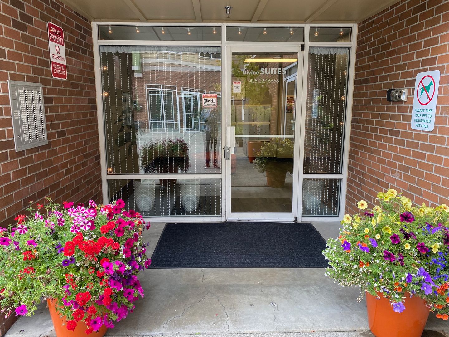 Renton Apartment: 334 Wells Ave South