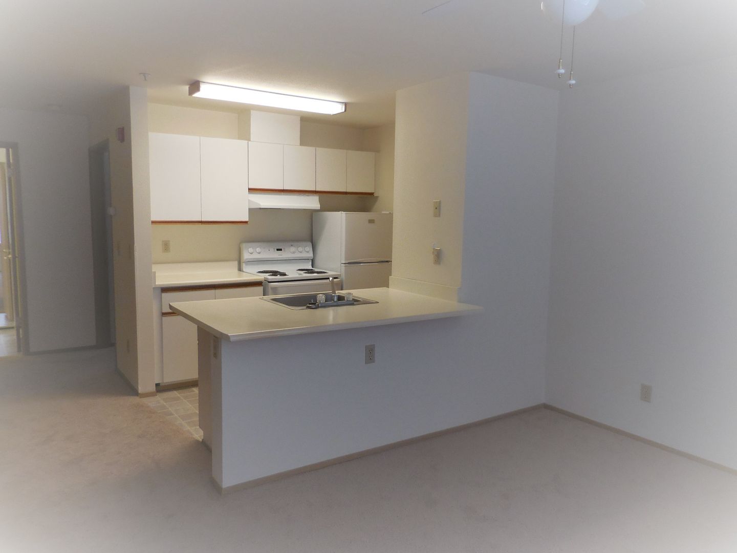 Renton Apartment: 334 Wells Ave South