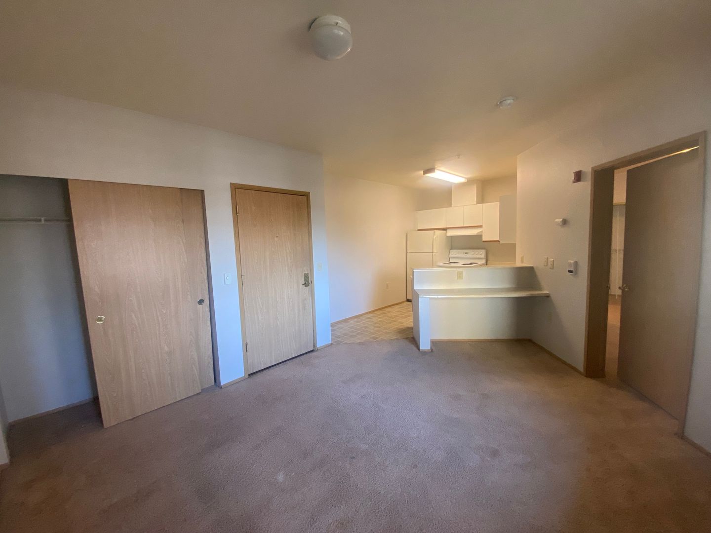 Renton Apartment: 334 Wells Ave South