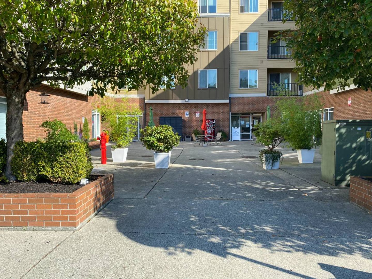 Renton Apartment: 334 Wells Ave South