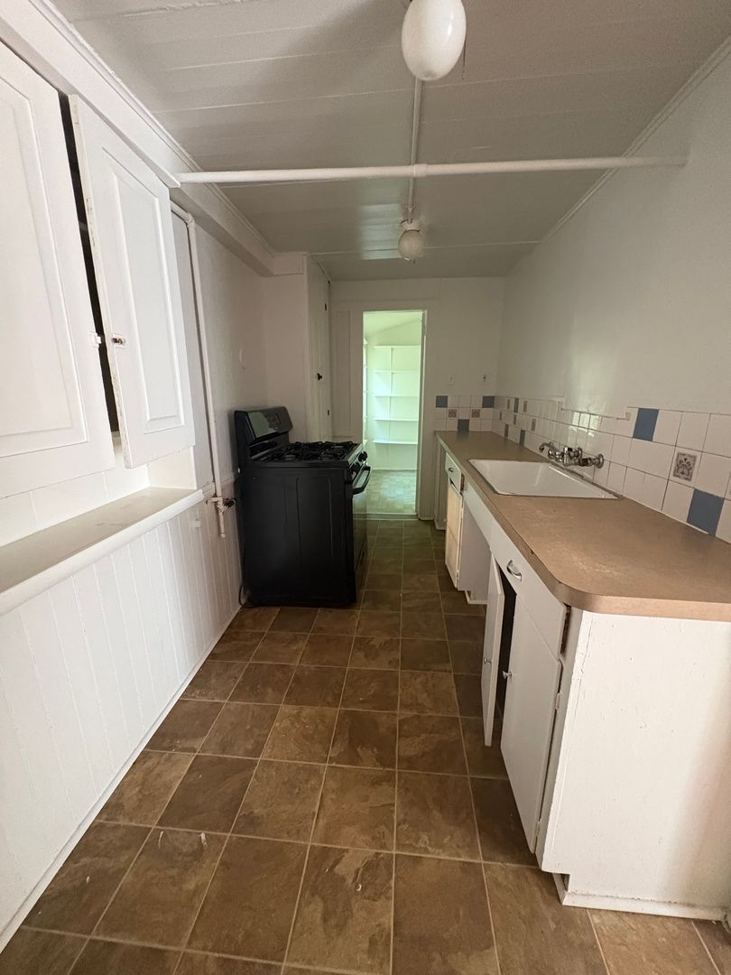 Ypsilanti Apartment: 113 N. Hamilton St.