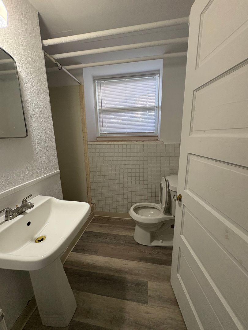 Ypsilanti Apartment: 112 Woodward St.