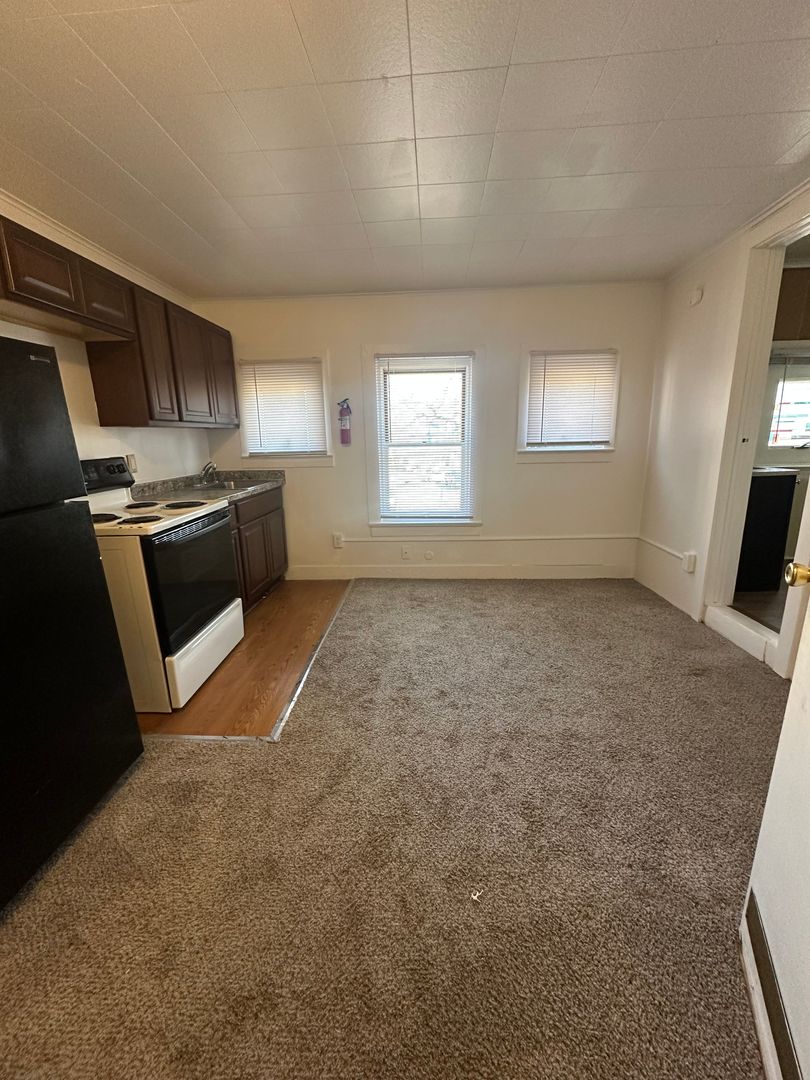 Ypsilanti Apartment: 508 N. Hamilton St.