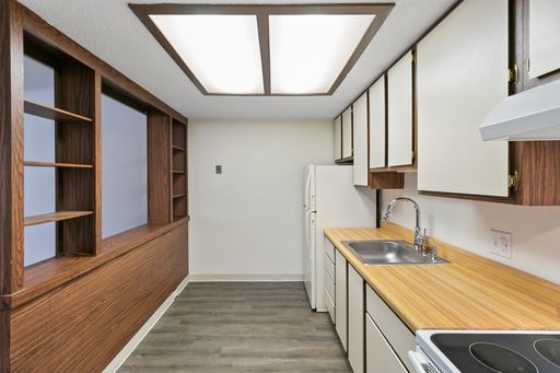 Forest View Apartments | One Bed | One Bath