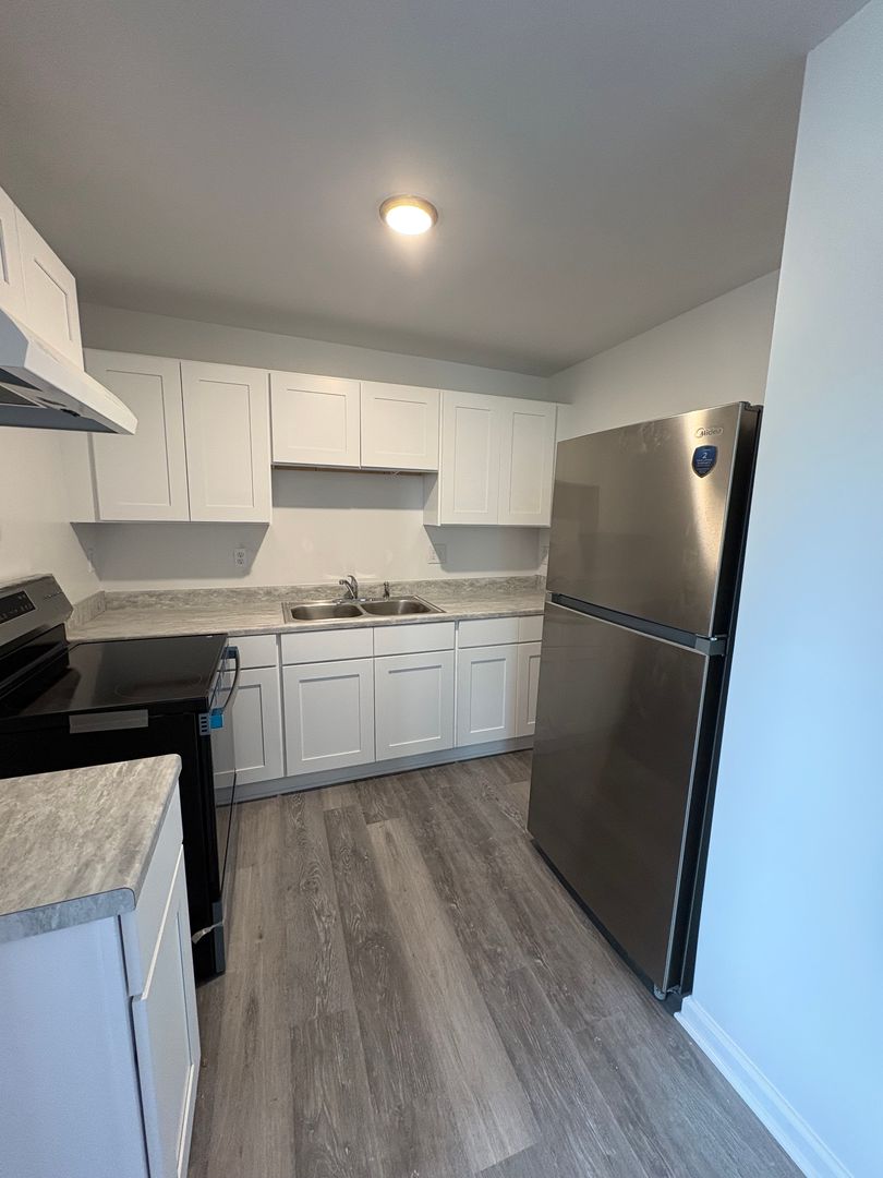 Ypsilanti Apartment: 314 Pearl St.