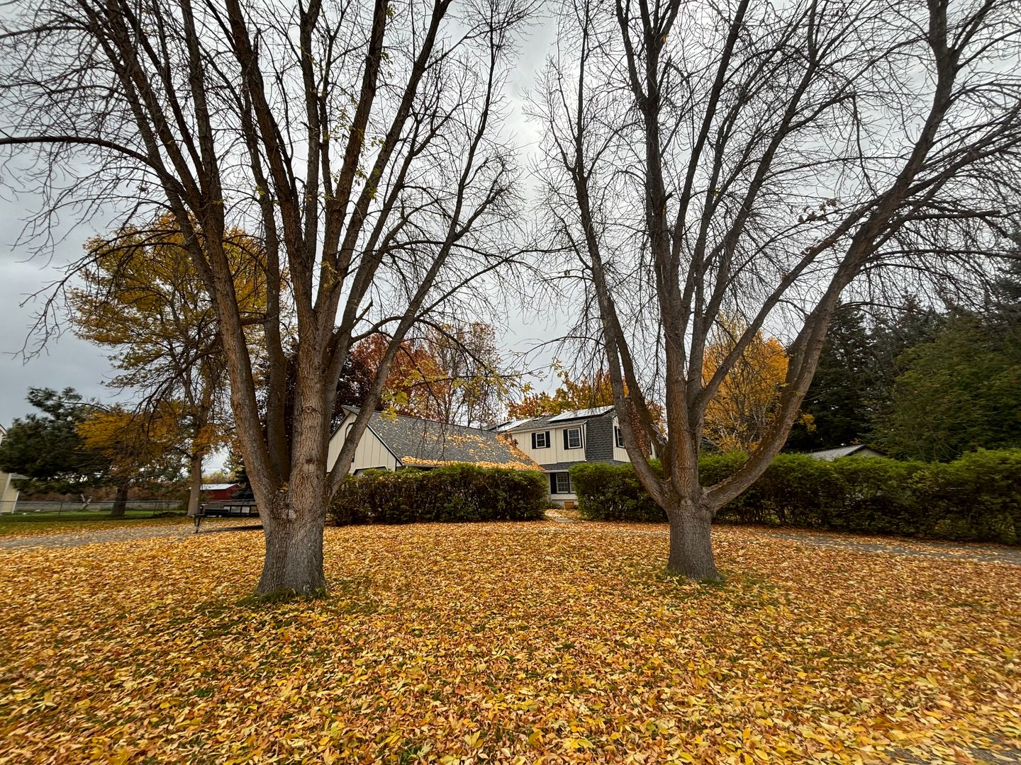 Missoula House: 4840 Spurgin Rd