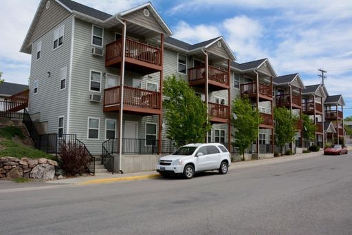 Studio Apartment / Junior 1 Bedroom - Heat included in Utility Fee – photo 1