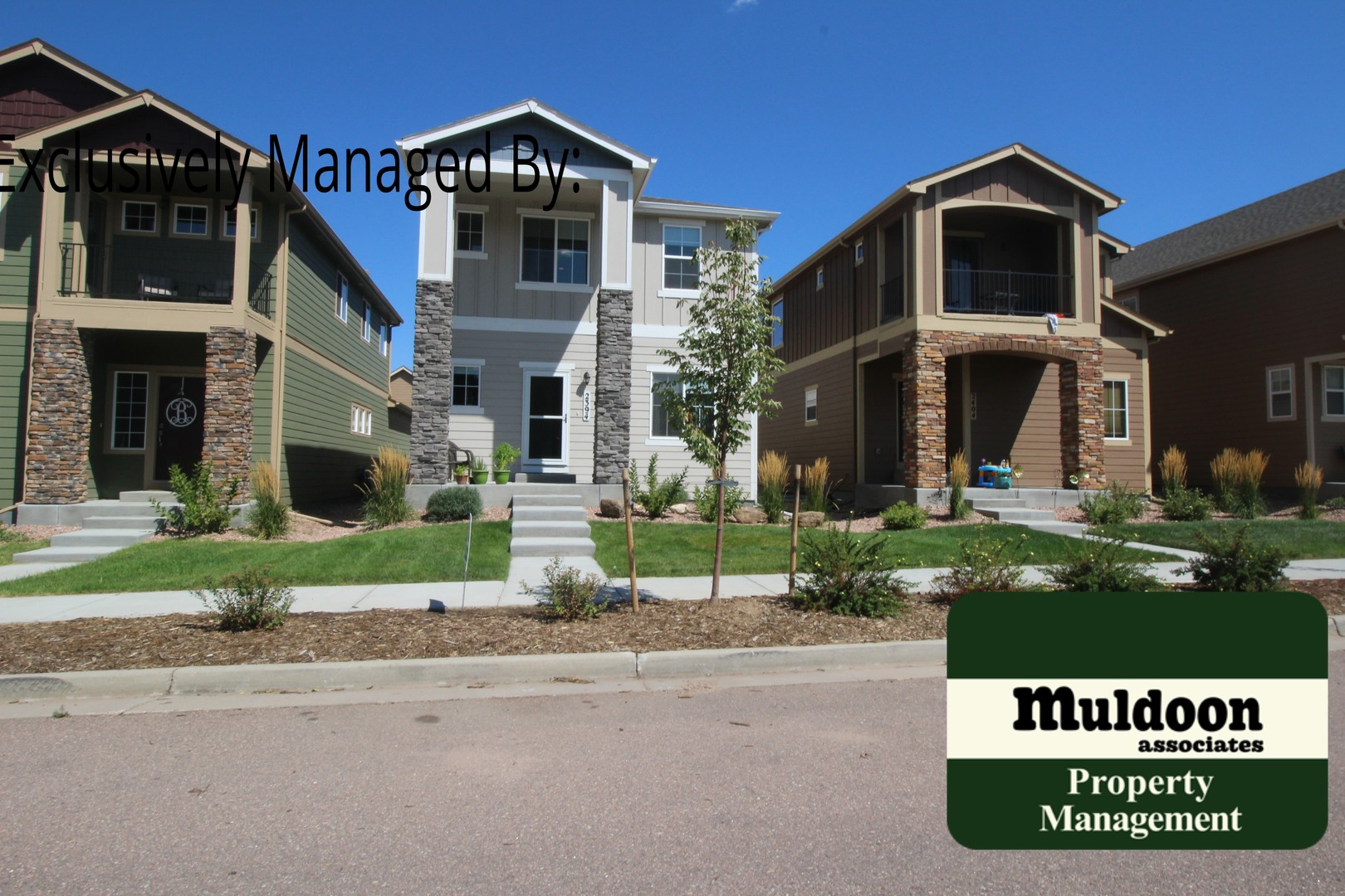 Colorado Springs House: 2394 Falkirk Dr