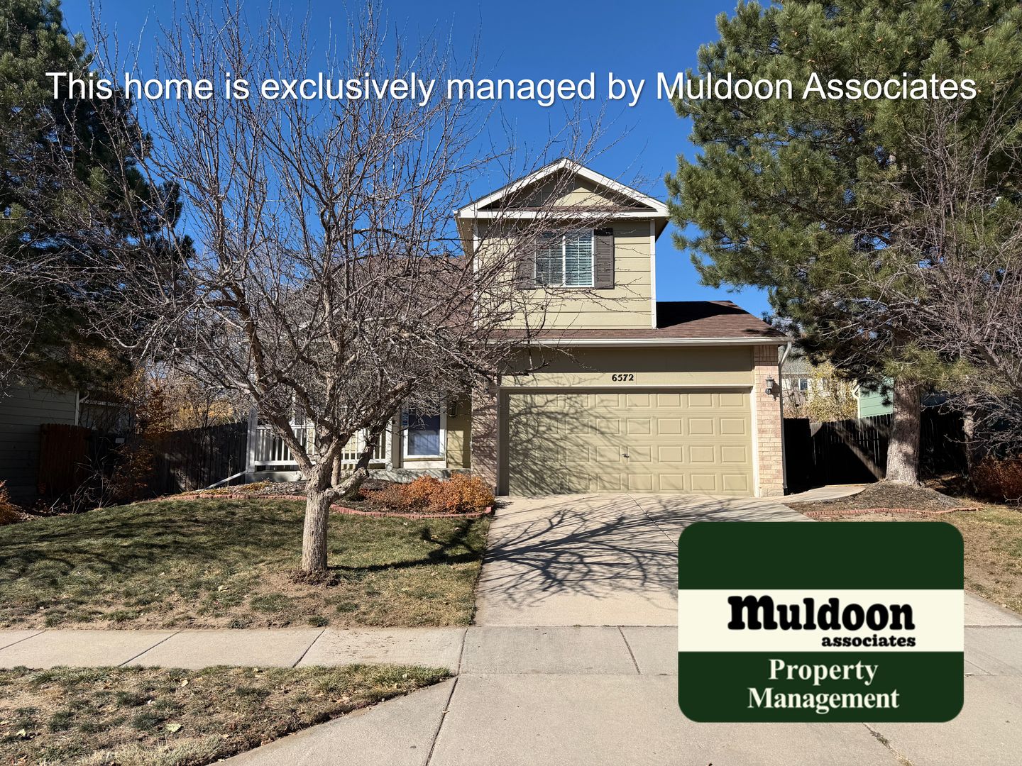 Colorado Springs House: 6572 La Plata Peak Dr.