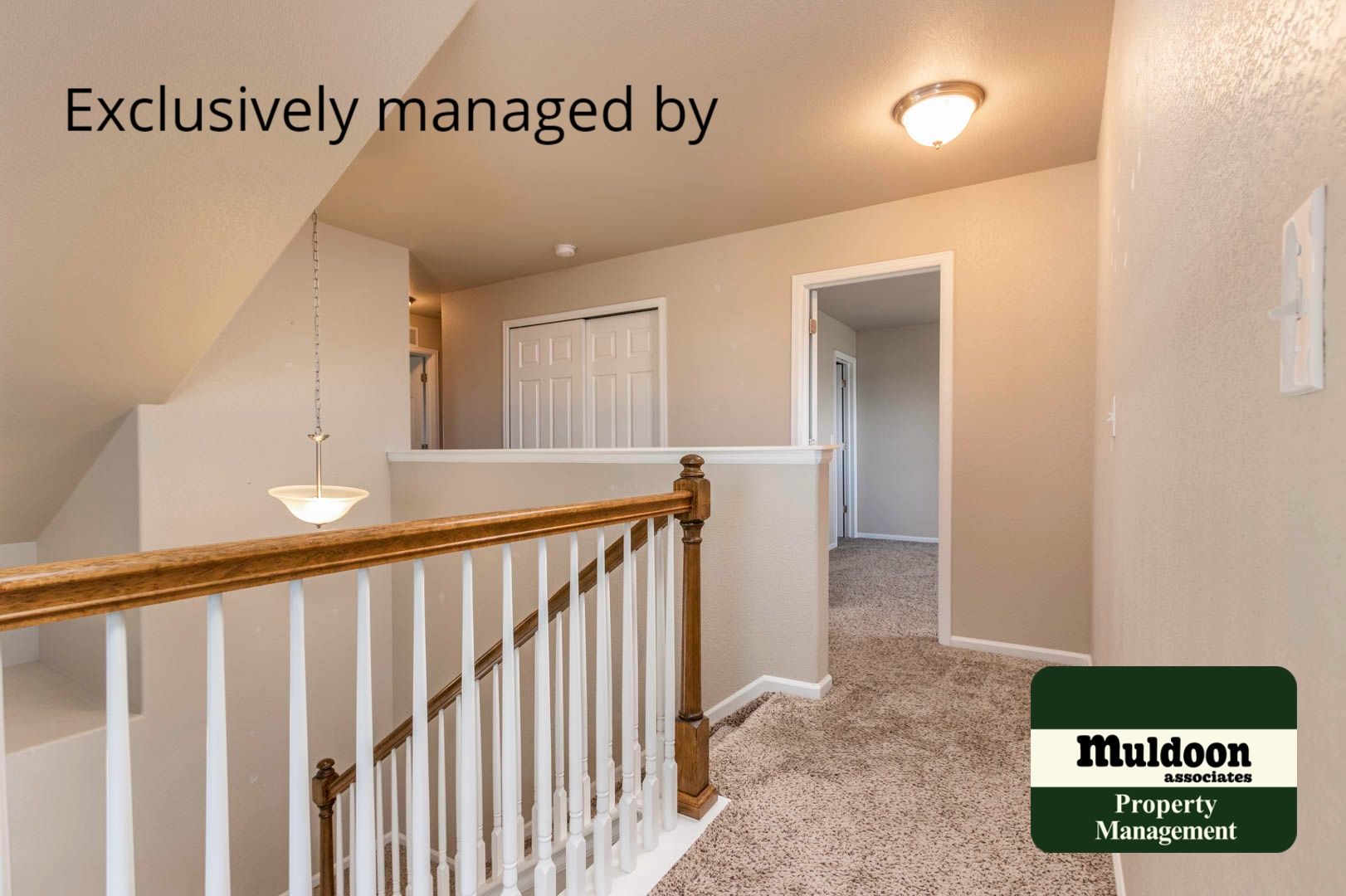 Colorado Springs House: 6460 Marilee Way