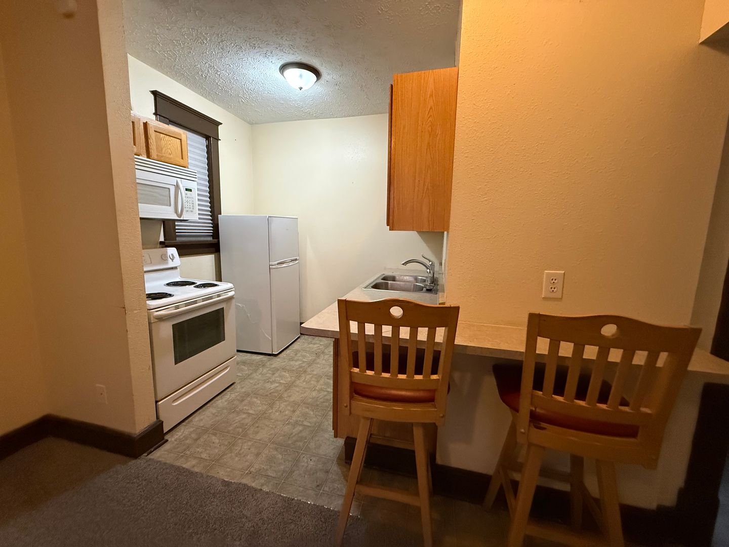 Muncie Apartment: 109 South Council Street